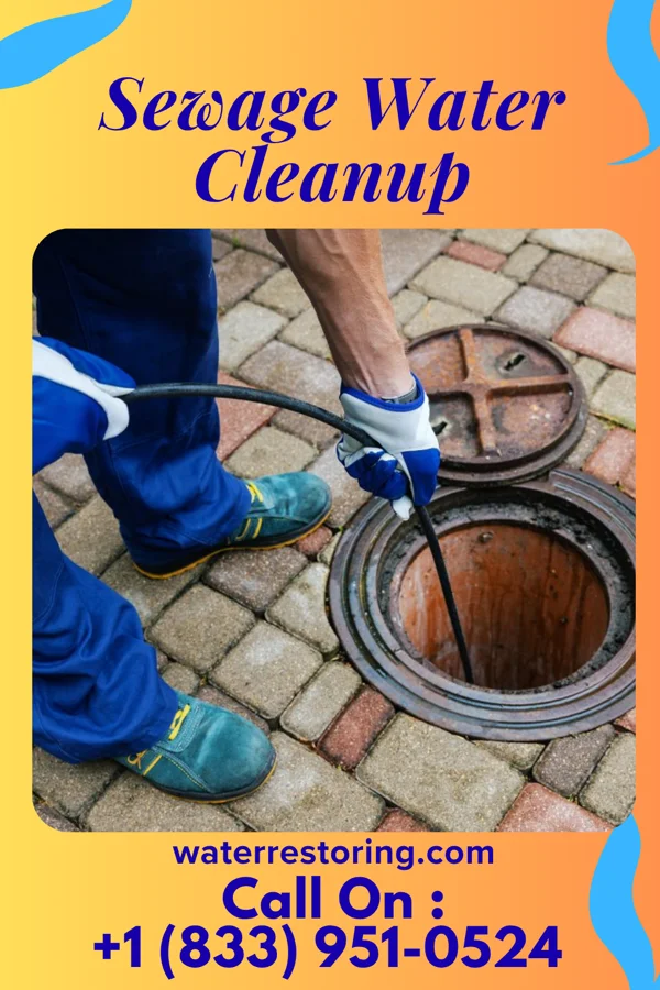 Sewage Water Cleanup in Longford, KS